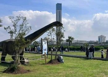 ديناصورات «الصابلات» تخطف اهتمام الأطفال