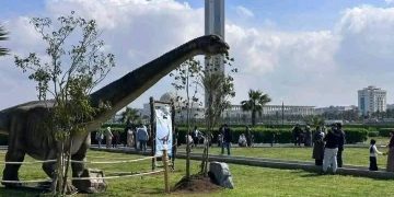 ديناصورات «الصابلات» تخطف اهتمام الأطفال