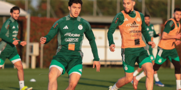 «الخضـر» يواصلون التّربّص في تورينو