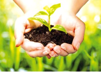 وزارة الفلاحة تطلق «قرض المورد»