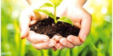 وزارة الفلاحة تطلق «قرض المورد»