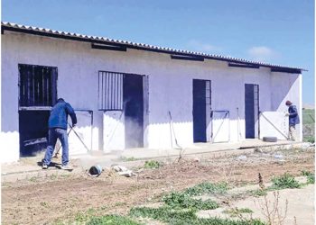 خنشلة.. تخصيص ستة أماكن لاستقبـال وبيع مــواشي العيــد