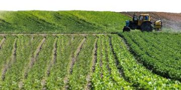 بومرداس..هندســـــة الإنتاجيـــــة  في الشعــــب الرائـــــدة