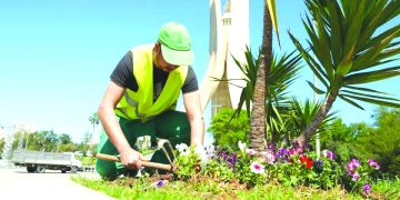 تكريس المدينة المستدامة في الأجندة المحلية