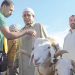عيد الأضحى.. موسم متجدّد لإحياء القيم الجزائرية العليا