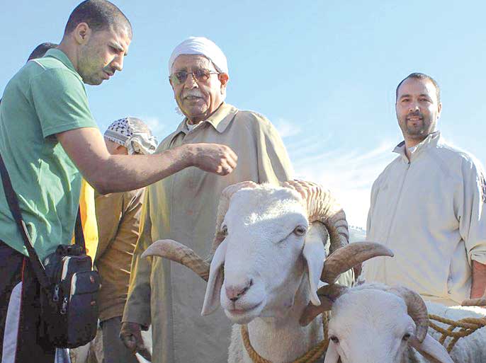 عيد الأضحى.. موسم متجدّد لإحياء القيم الجزائرية العليا
