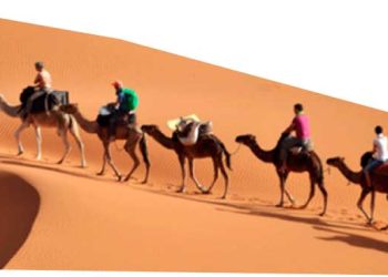 ”الحوكمة الجيّـدة” مفتاح تجربة سياحية متكاملة
