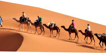 ”الحوكمة الجيّـدة” مفتاح تجربة سياحية متكاملة