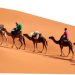 ”الحوكمة الجيّـدة” مفتاح تجربة سياحية متكاملة