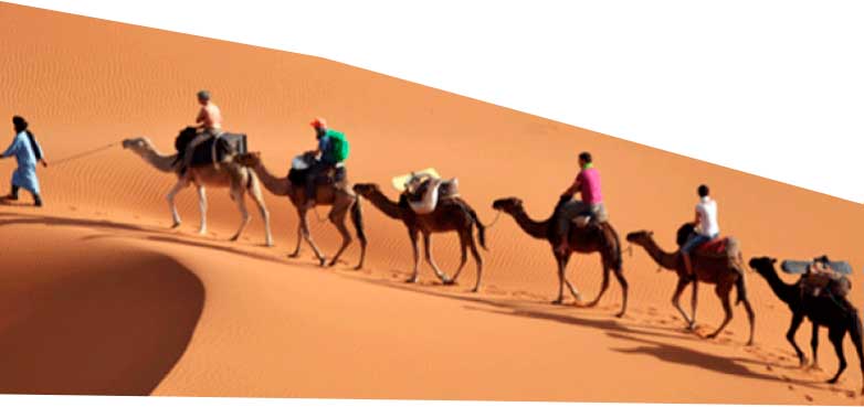 ”الحوكمة الجيّـدة” مفتاح تجربة سياحية متكاملة