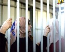 الاحتــــــــــــــلال يصعــــــــــّد جرائمــــــــــــــــه بحــــــــــــــــق الأســـــــــــــــــــــــــــــــــــــــيرات