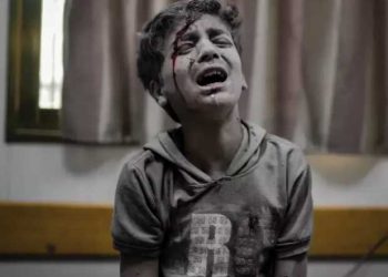 جرائـم الحـرب فـي غزة مستمــرة وحصيلــة الانتهاكات مرعبة