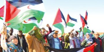 دعـوة صحراويـة عاجلـة لتكثيـف جهـــــــود مكافحــــة الألغــــــام