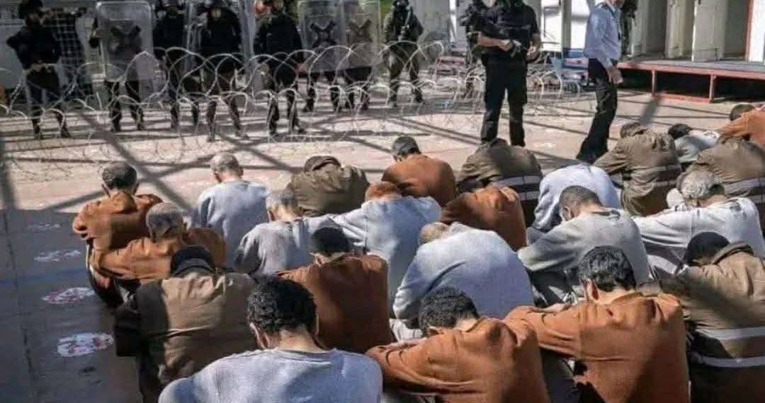 حين يصبح المرض زنزانة إضافية