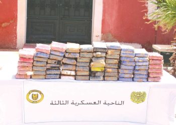 أسود الجزائـر يواصلــون الحرب علـى فلول الإرهـاب