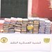 أسود الجزائـر يواصلــون الحرب علـى فلول الإرهـاب