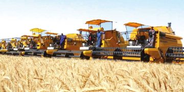 مستغانـم.. ترقـــــّب إنتـاج 47 ألف قنطار من الحبوب