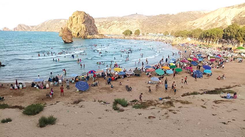 ”الباهية” تواصل إشعاعها وتحتضن زوّارها