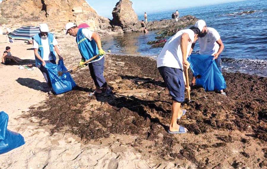 مديرية البيئــة لبومـرداس تطلـق حملـة تنظيف واسعـة