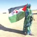 دول أفريقيـة تجدّد مطالبتـها بتصفيــة الاستعمــار في الصحراء الغربيـة