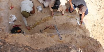 وزارة الثّقافة تثمّن اكتشاف “ناب فيل” بموقع تيغنيف