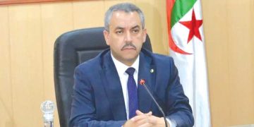 2026.. عــــام تألّـق الكفــاءات الوطنيـة فــي المحافـــل الدوليــــة