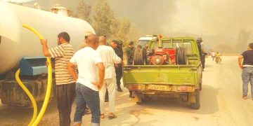 تعليمـــات صارمة لتعويـــض المتضرريــن مــن حرائــق الغابـات