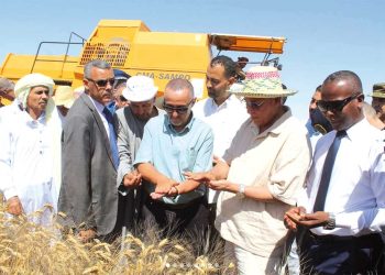 الأبيـض سيـدي الشيــخ..  قطـب فلاحي واعد ببلديـة أربـــاوات