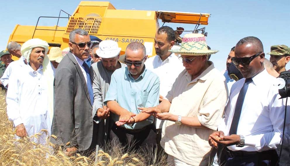 الأبيـض سيـدي الشيــخ.. قطـب فلاحي واعد ببلديـة أربـــاوات