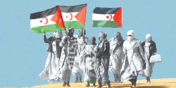 الاحتـلال المغربي يغـرق الأراضـي المحتلـة بالمخــدرات
