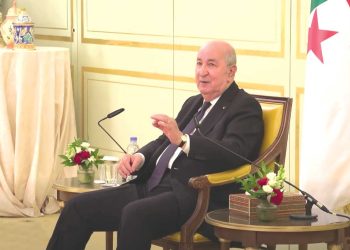الجزائر- ألمانيا..  شراكة تتوسّع وتعاون يتنوّع