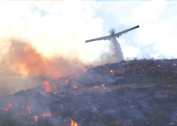 جاهزية احترافية لحماية الغابات..الجيش والحماية بالمرصاد
