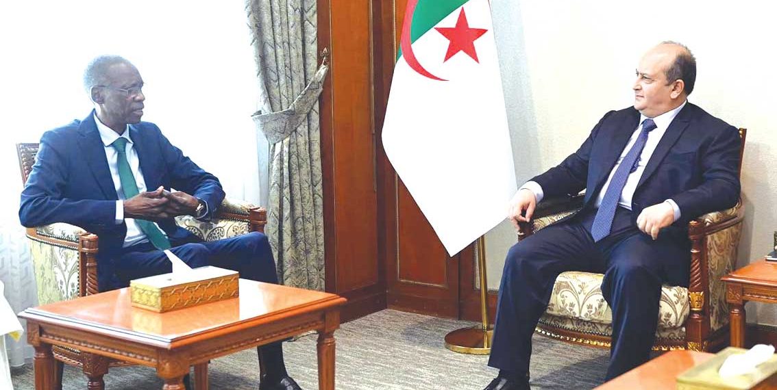 دور جزائري محوري في دعم السلم والاستقرار بإفريقيا والساحل