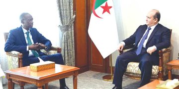 دور جزائري محوري في دعم السلم والاستقرار بإفريقيا والساحل