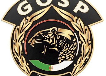 ثلاثيـــة تصنــع هويـة “GOSP”.. من قلـب الشــارة تبدأ الحكايــة