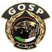 ثلاثيـــة تصنــع هويـة “GOSP”.. من قلـب الشــارة تبدأ الحكايــة