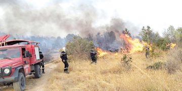 الجزائر طوّرت قدراتها العملياتية لمواجهة حرائق الغابات