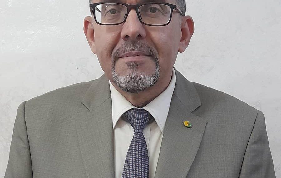 الرقمنـــة..فرصة تجديد المكتبات واستقطاب الأطفال