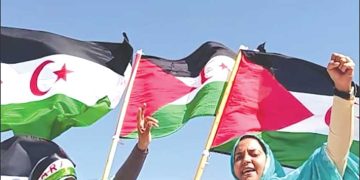 الجامعـة الصيفيـــة الصحراويــة تنطلق غدا