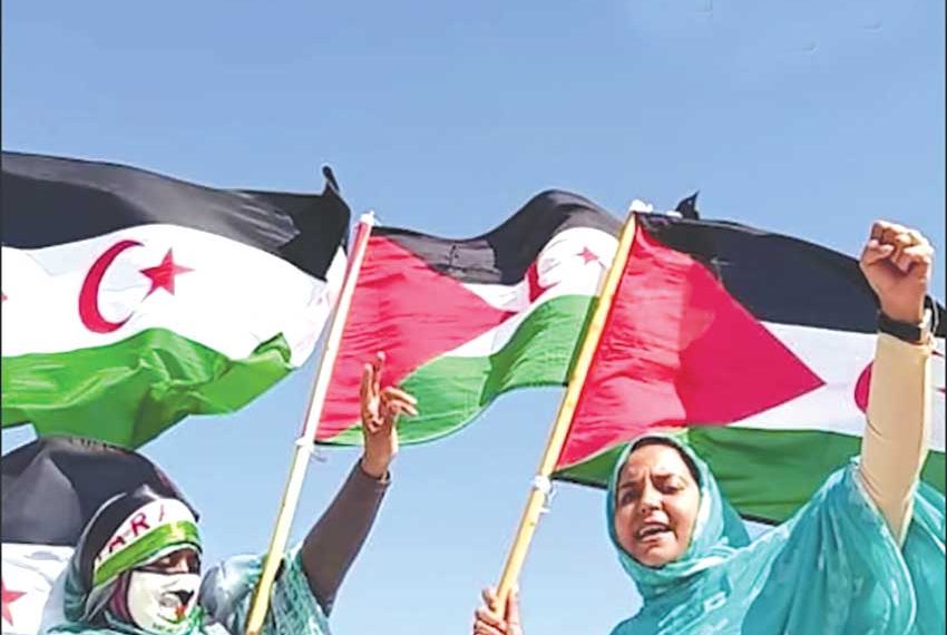 الجامعـة الصيفيـــة الصحراويــة تنطلق غدا