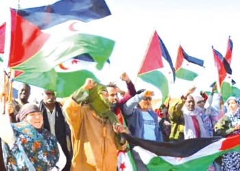 الإعلام الدولي يفضح انتهاكات الاحتلال في الصّحراء الغربية