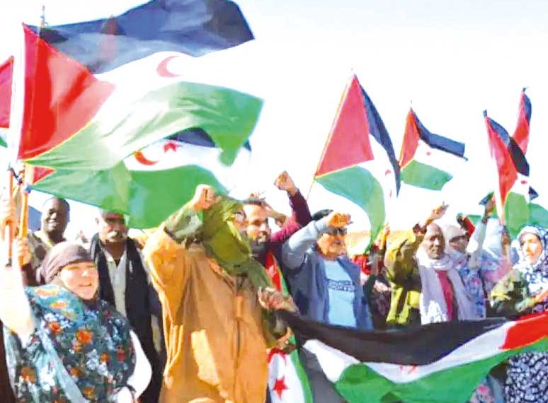 الإعلام الدولي يفضح انتهاكات الاحتلال في الصّحراء الغربية