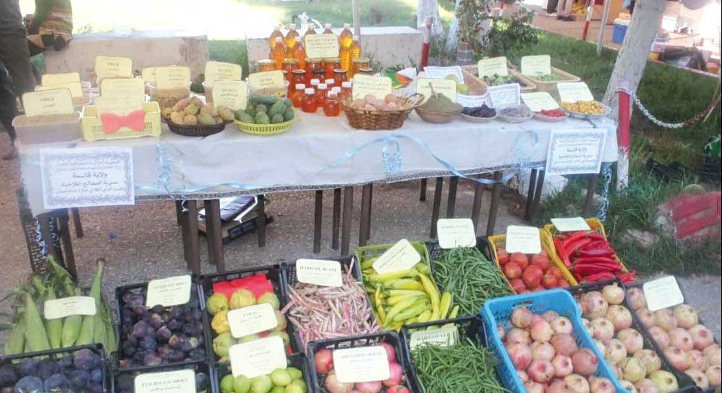 قالمة.. تكثيف الجهود لدعم الاستثمار الفلاحي