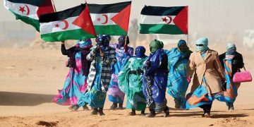 منظمـات دولية ترافع لحق الشعـب الصحراوي فـي تقريــر المصـير