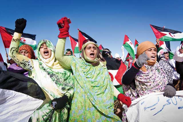 فضاء التعريف بالقضية الصحراوية العادلـة يتوسـع..