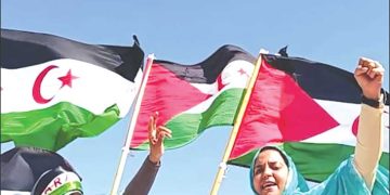 لجنـة الأمـــم المتّحدة لمناهضة التّعذيب تُدين المغرب مجدّدا