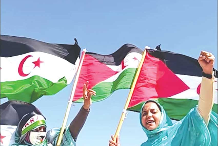 لجنـة الأمـــم المتّحدة لمناهضة التّعذيب تُدين المغرب مجدّدا