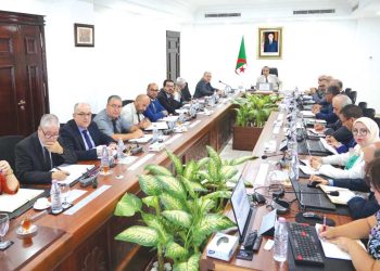 عجـال يوجّه بتسريع ملفات التعاون الطاقوي مع النيجر وكوت ديفوار