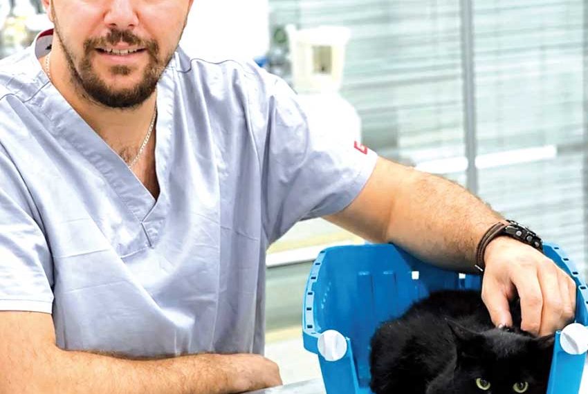 إنقـاذ حيــاة البهائــم.. سلوكـات صغـيرة وآثــار كبــيرة