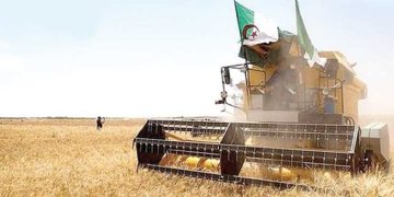الفلاحة بتبسة..خطـــوات لتكريــس الأمــن الغذائـي